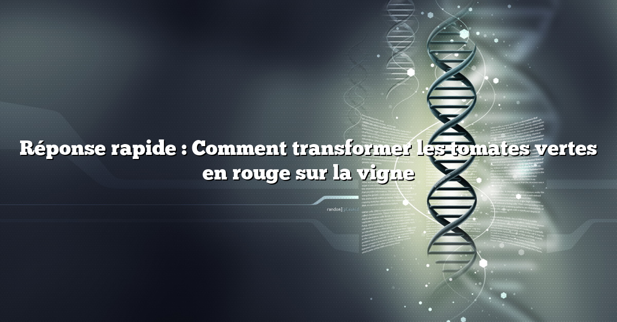 Réponse rapide : Comment transformer les tomates vertes en rouge sur la vigne